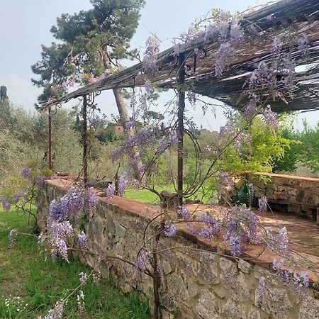 Casa Ezio Marchi - Due Appartamenti E Una Family Suite Bettolle Eksteriør bilde